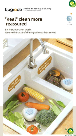 Portable Fruit and vegetable washing Device TIANTIAN LIFE Market Place