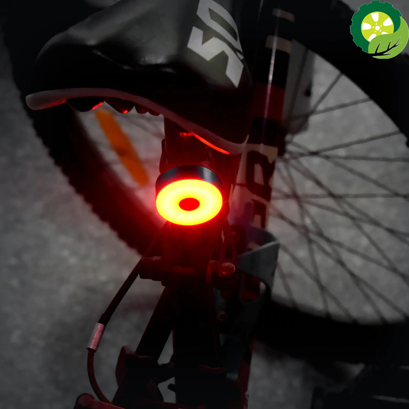 Usb Chargeable Mini LED Bicycle Tail Light Waterproof IPx8 Safety Warning Cycling Light suitable for Helmet Backpack Lamp TIANTIAN LIFE Market Place