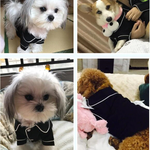 Luxury Clothes for Dog Fashion Dog Pajamas Pet Clothing for Small Medium Dogs Clothes Coat Yorkies Chihuahua Bulldogs Jacket TIANTIAN LIFE Market Place