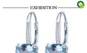 5.86ct Blue Topaz Drop Earrings, Natural Gemstone garnet,Citrine 925 Sterling Silver Fine Elegant Classic Jewelry TIANTIAN LIFE Market Place