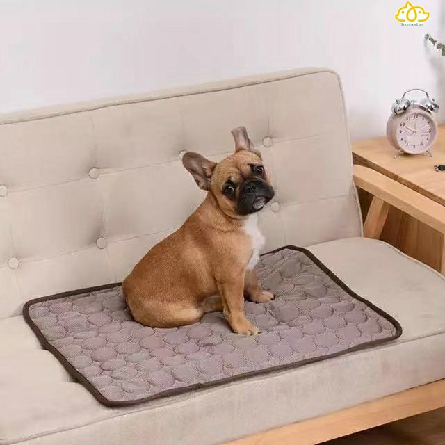 Washable Pet Mat Cooling Summer Pad Mat For Dogs Cat Blanket Sofa Breathable Pet Bed TIANTIAN LIFE Market Place