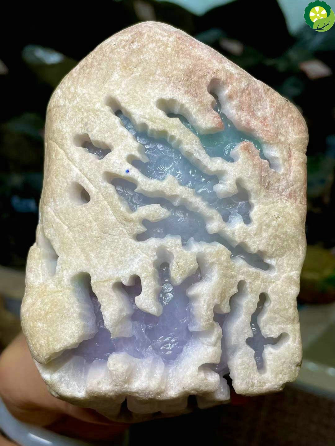 High end quality jadeite RAW stone TIANTIAN LIFE Market Place
