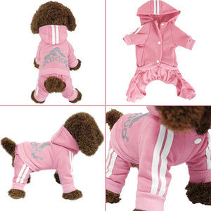 Cute Sweater Hoodie Winter Warm Pet Clothes TIANTIAN LIFE Market Place