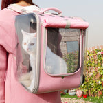 Pet Cat Carrier Backpack Breathable Cat Travel Outdoor Shoulder Bag For Small Dogs Cats Portable Packaging Carrier TIANTIAN LIFE
